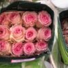 IMG_6125 Rose Pink -Bunch