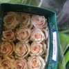 rose champagne Rose Peach -Bunch