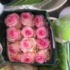 rose pink02 Rose Pink -Bunch