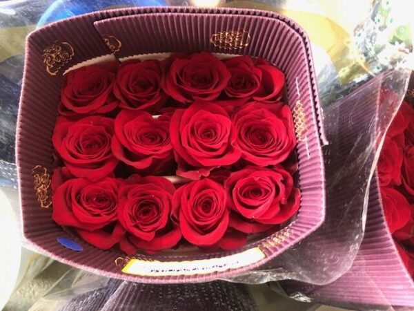 rose red01 Rose Red -Bunch