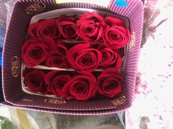 rose red02 Rose Red -Bunch